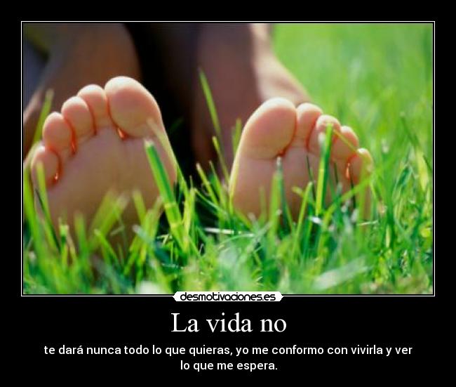 La vida no - 