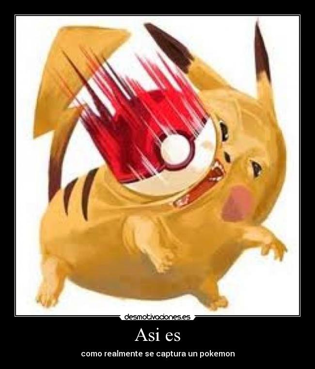 Asi es - como realmente se captura un pokemon