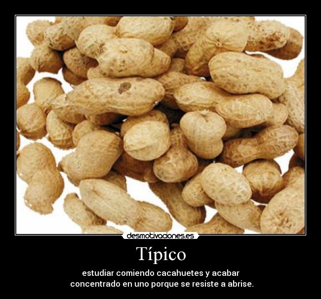 Típico - estudiar comiendo cacahuetes y acabar
 concentrado en uno porque se resiste a abrise.