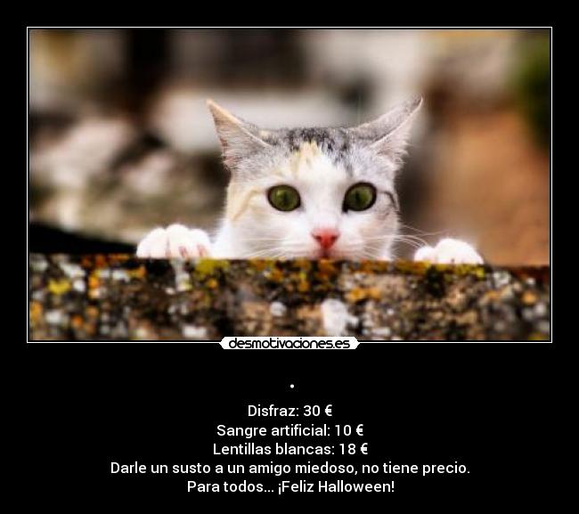 carteles susto amigo halloween desmotivaciones