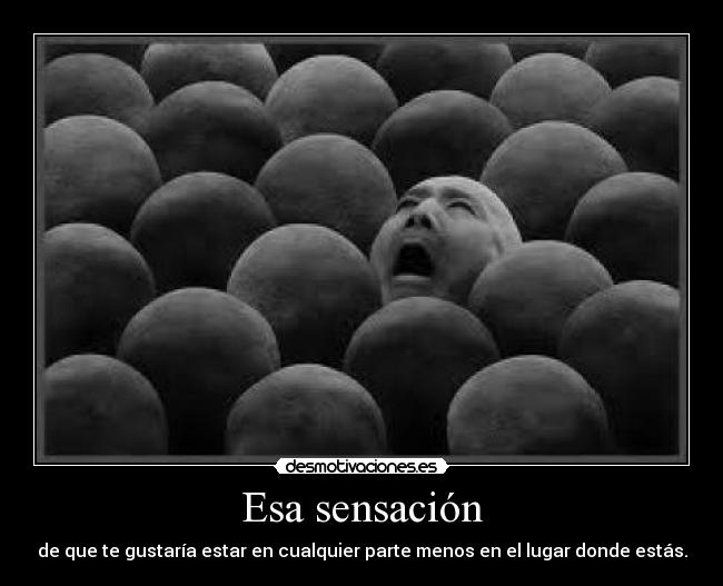 carteles quiero desmotivaciones