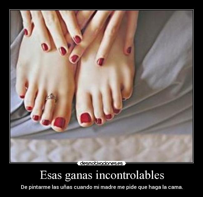 carteles aaqa desmotivaciones