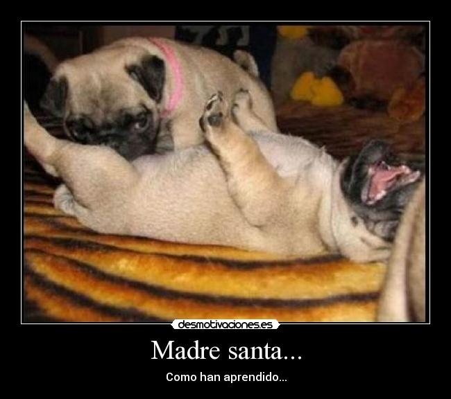 Madre santa... -