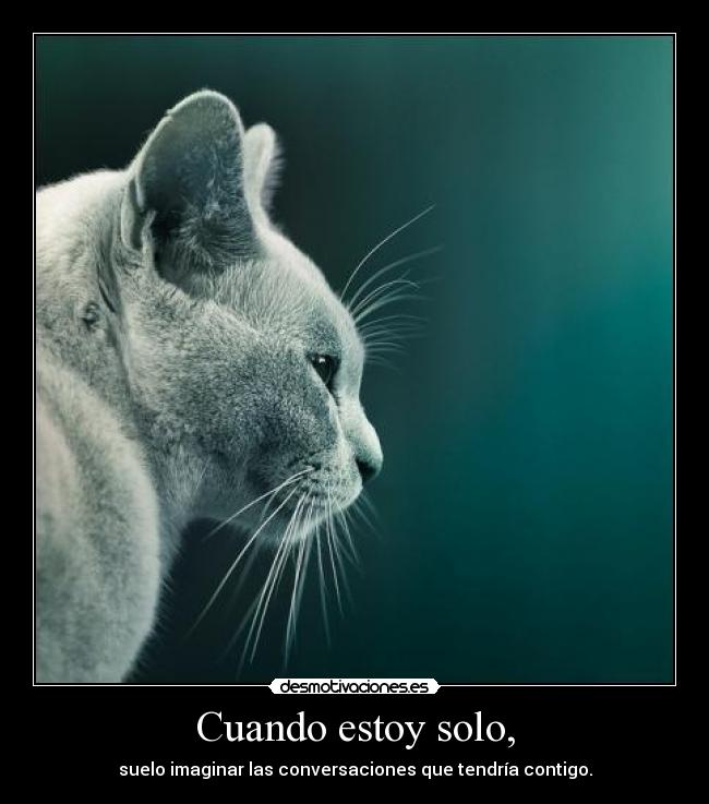 Cuando estoy solo, - suelo imaginar las conversaciones que tendría contigo.