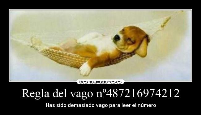 Regla del vago nº487216974212 - 