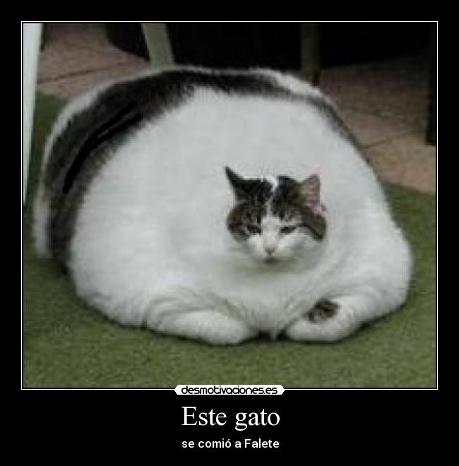 Este gato - se comió a Falete