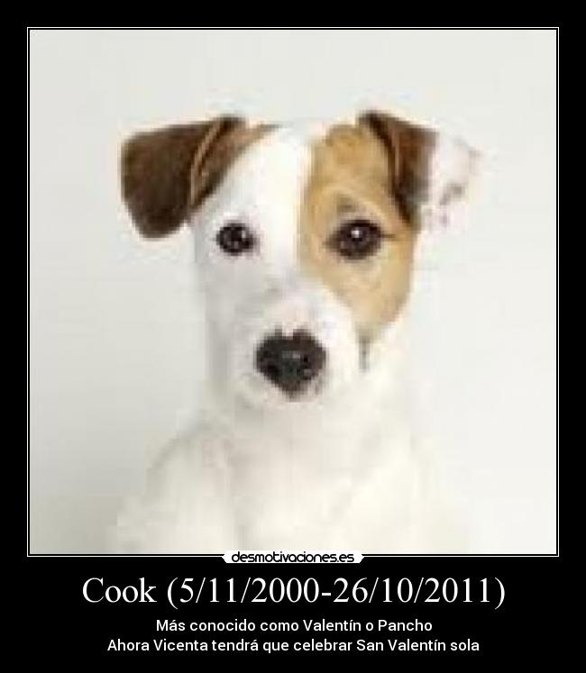 Cook (5/11/2000-26/10/2011) - Más conocido como Valentín o Pancho
Ahora Vicenta tendrá que celebrar San Valentín sola