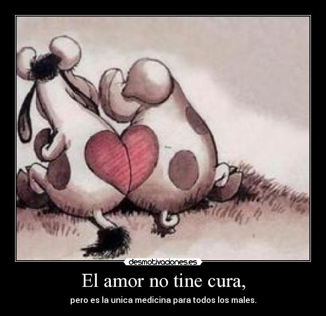 El amor no tine cura, - pero es la unica medicina para todos los males.