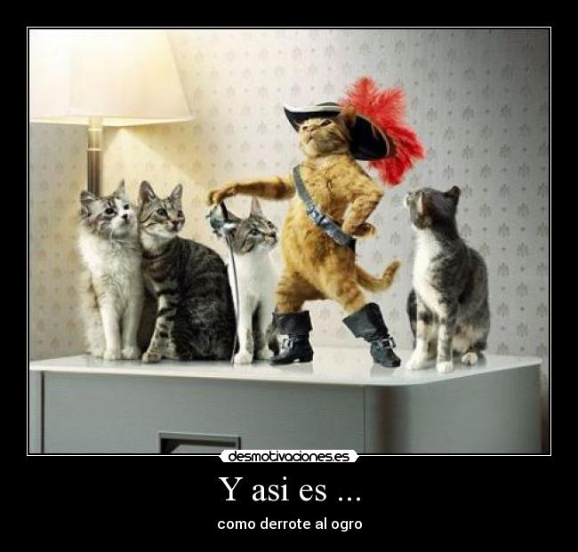 Y asi es ... -