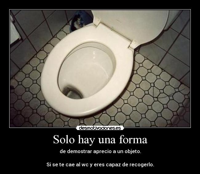 Solo hay una forma - de demostrar aprecio a un objeto.
Si se te cae al wc y eres capaz de recogerlo.