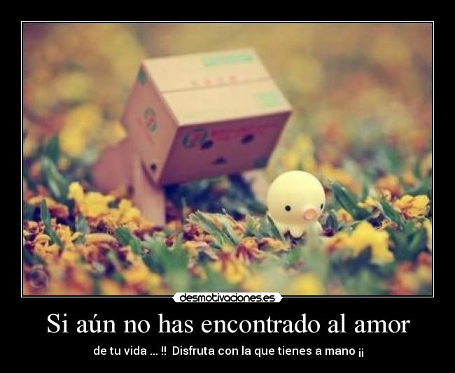 Si aún no has encontrado al amor - de tu vida ... !! Disfruta con la que tienes a mano ¡¡