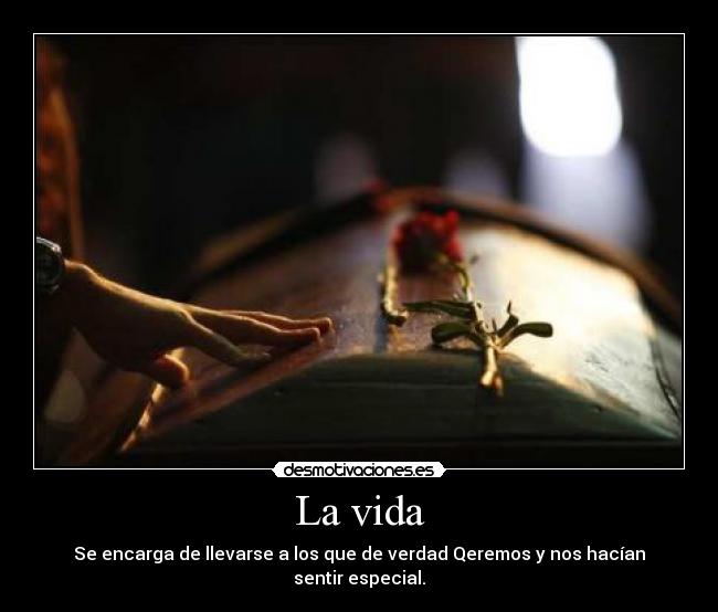 carteles vida vida desmotivaciones