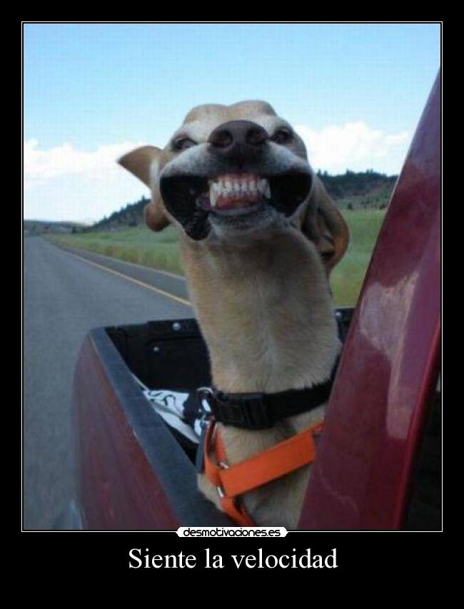 Siente la velocidad -