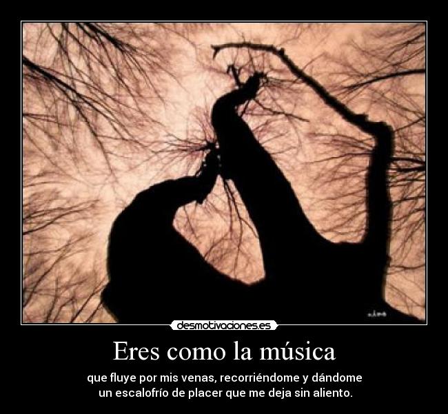 Eres como la música -