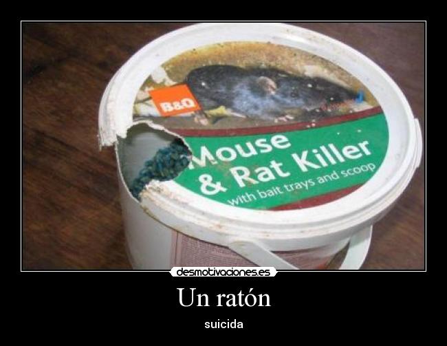 Un ratón - 