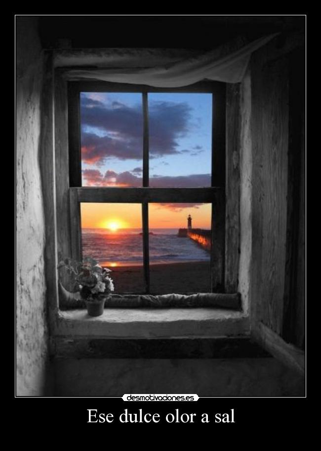 Ese dulce olor a sal - 