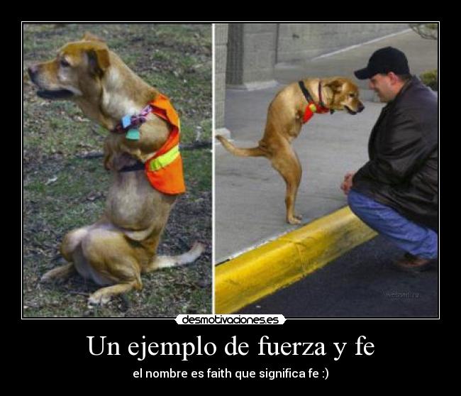 Un ejemplo de fuerza y fe -
