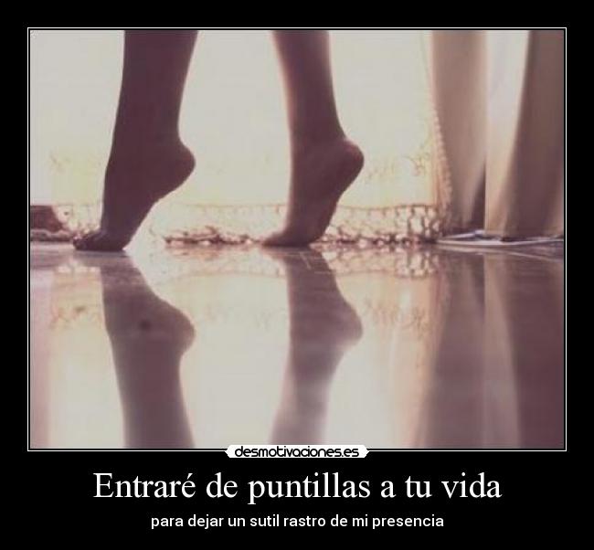 Entraré de puntillas a tu vida -