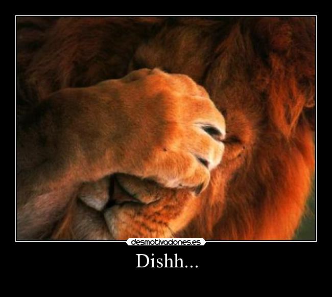 Dishh... -