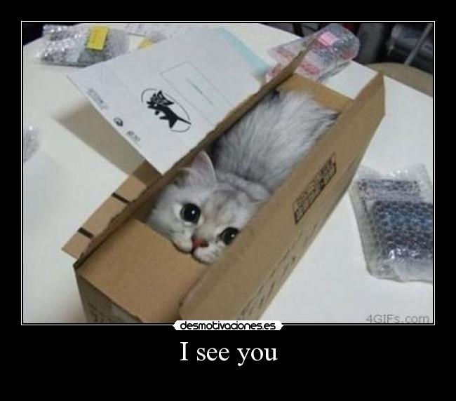I see you -