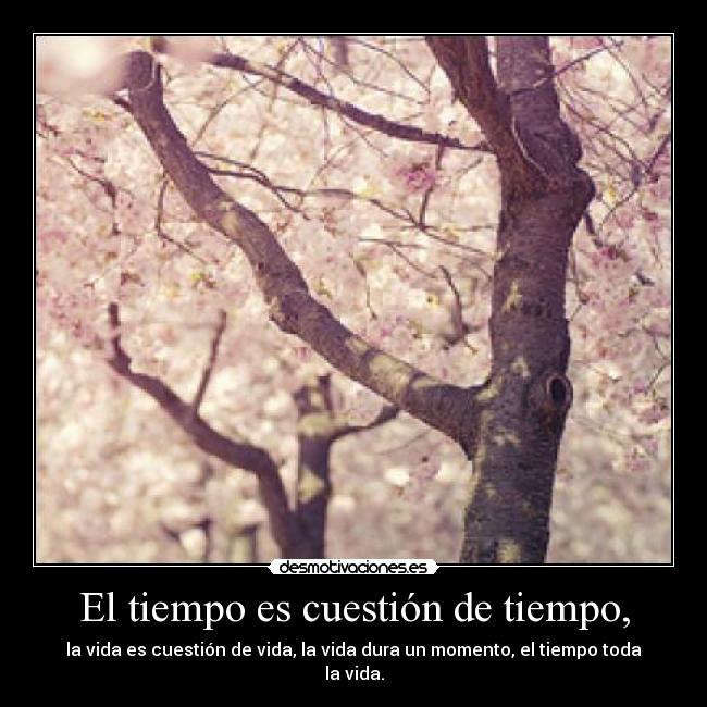El tiempo es cuestión de tiempo, -