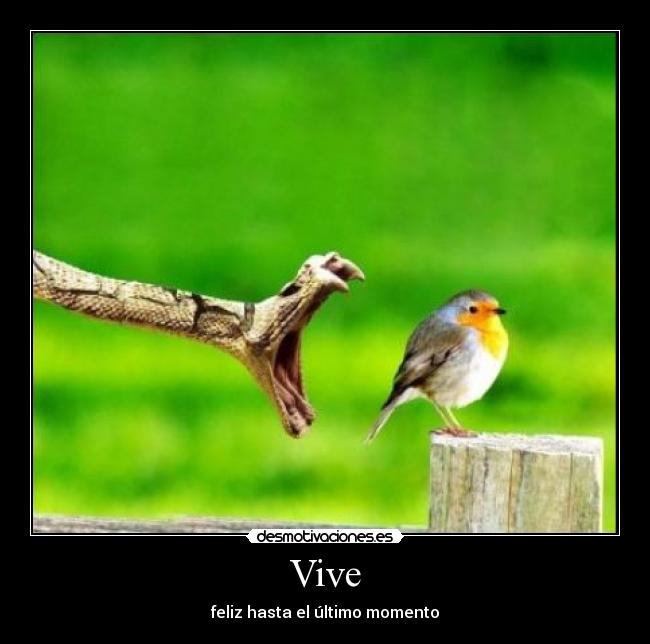 Vive - feliz hasta el último momento