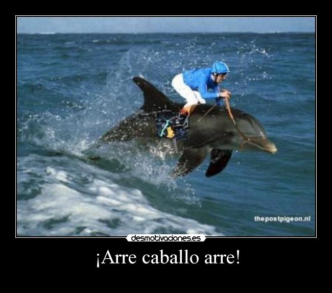 ¡Arre caballo arre! -