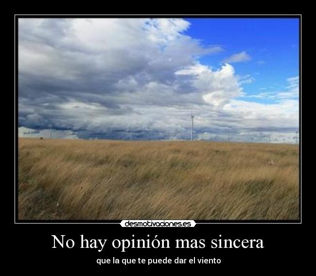 No hay opinión mas sincera - que la que te puede dar el viento