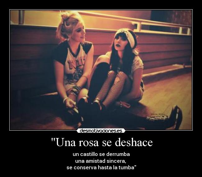 Una rosa se deshace - 