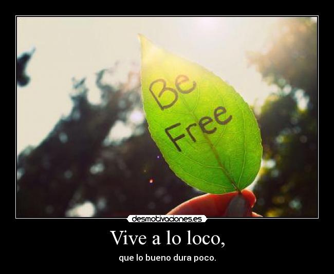 Vive a lo loco, - que lo bueno dura poco.