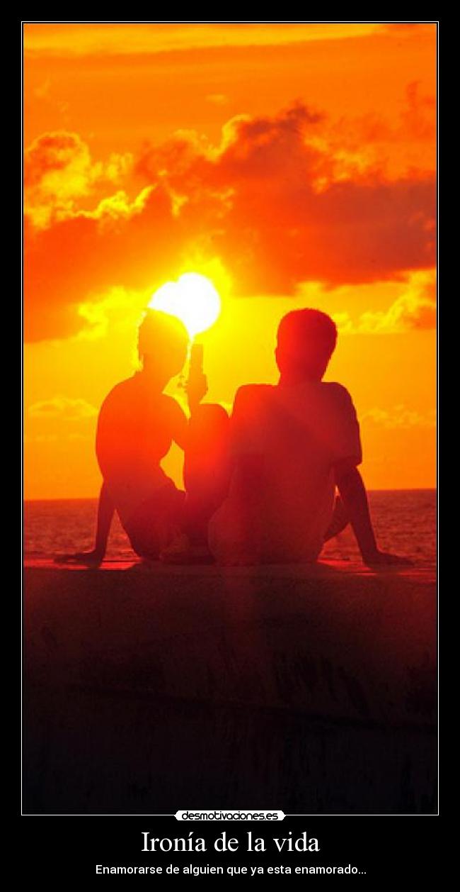 Ironía de la vida - 