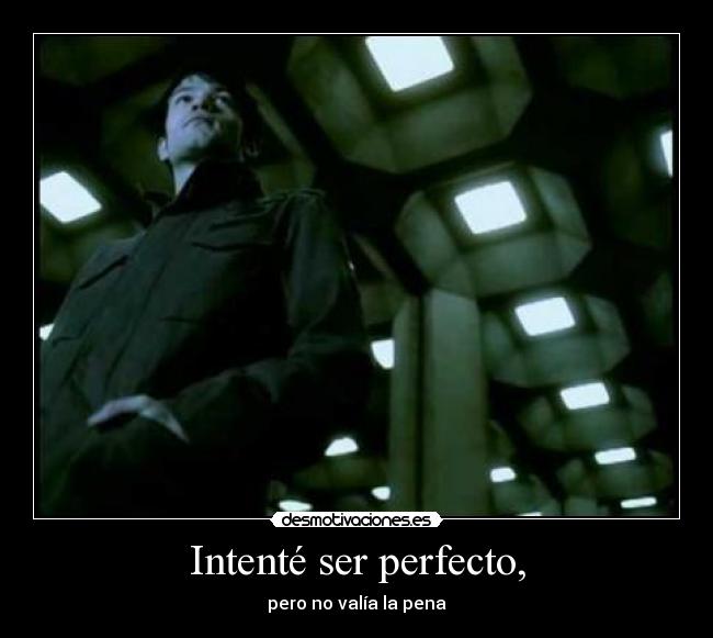 carteles intente ser perfecto pero valia pena sum vives19 desmotivaciones