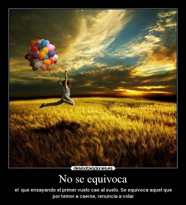 No se equivoca - el que ensayando el primer vuelo cae al suelo. Se equivoca aquel que
por temor a caerse, renuncia a volar