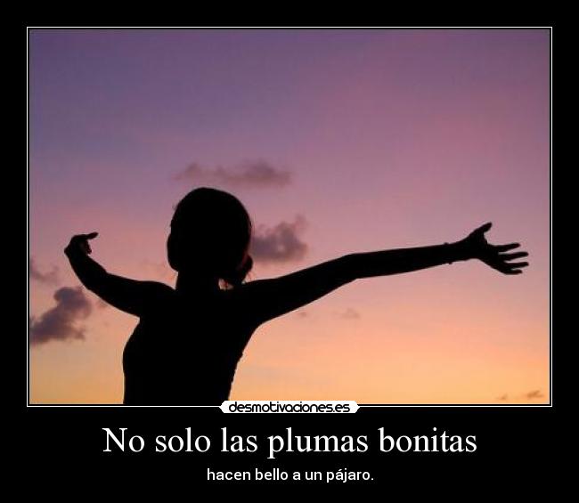 No solo las plumas bonitas - hacen bello a un pájaro.