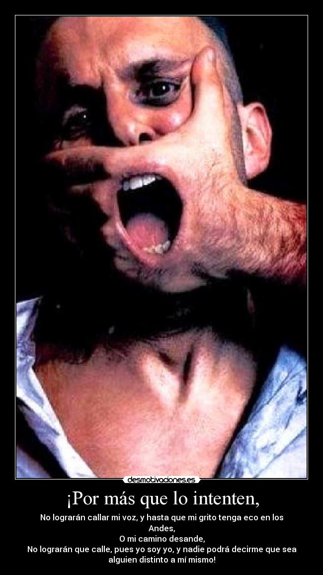 carteles gritando por una libertad efimera casi imposible dilucidar desmotivaciones