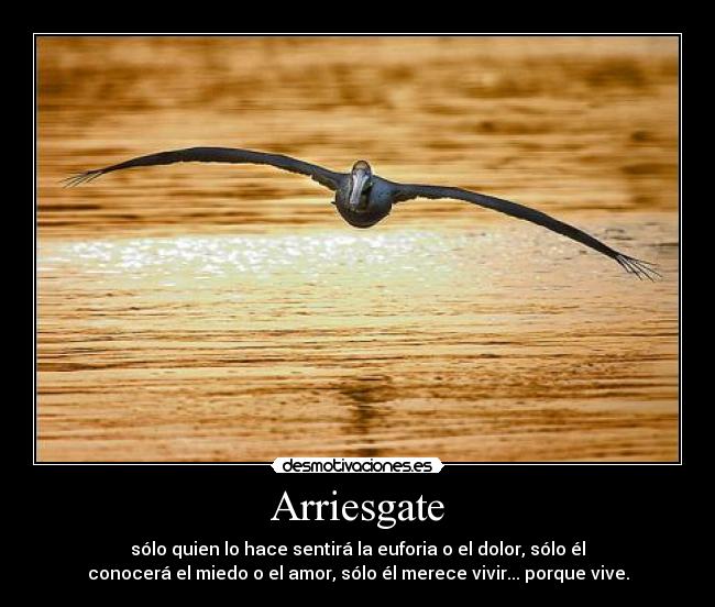 Arriesgate - sólo quien lo hace sentirá la euforia o el dolor, sólo él
conocerá el miedo o el amor, sólo él merece vivir... porque vive.