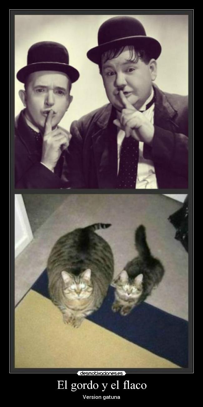 El gordo y el flaco - Version gatuna