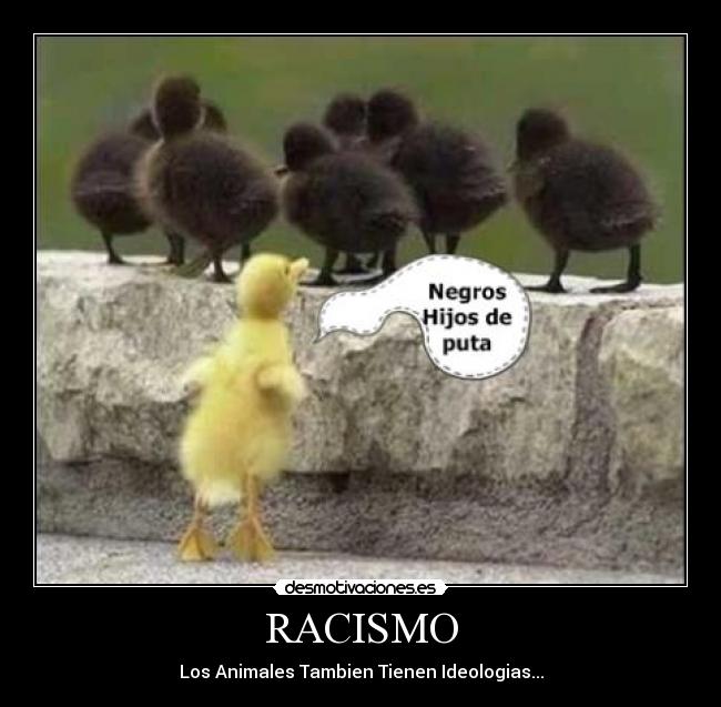 carteles racismo desmotivaciones