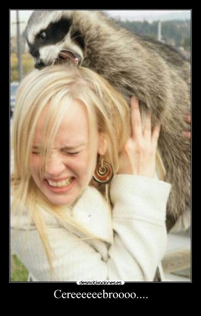 Cereeeeeebroooo.... -