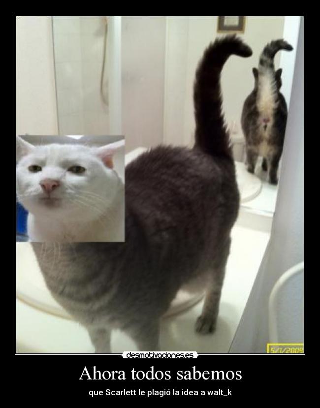 Ahora todos sabemos -