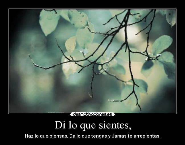 Di lo que sientes, - Haz lo que piensas, Da lo que tengas y Jamas te arrepientas.