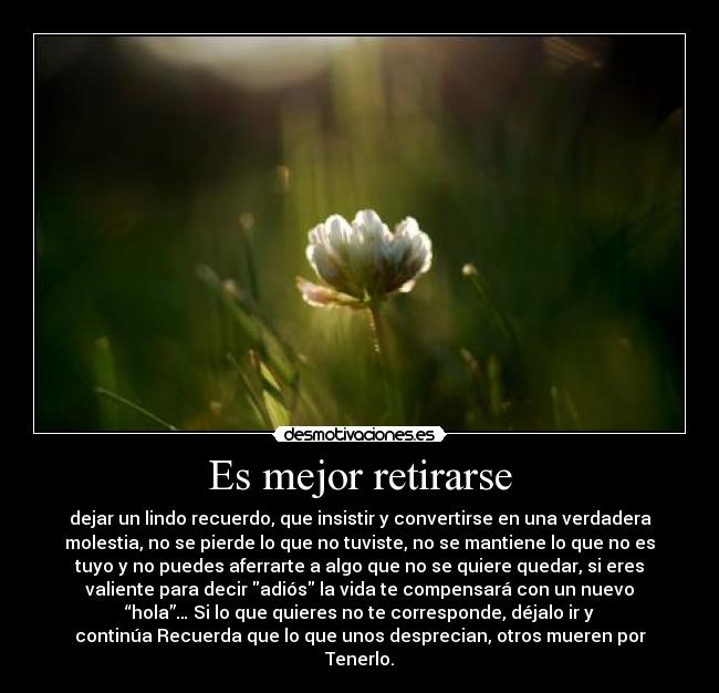 carteles hecho amar que correponde desmotivaciones