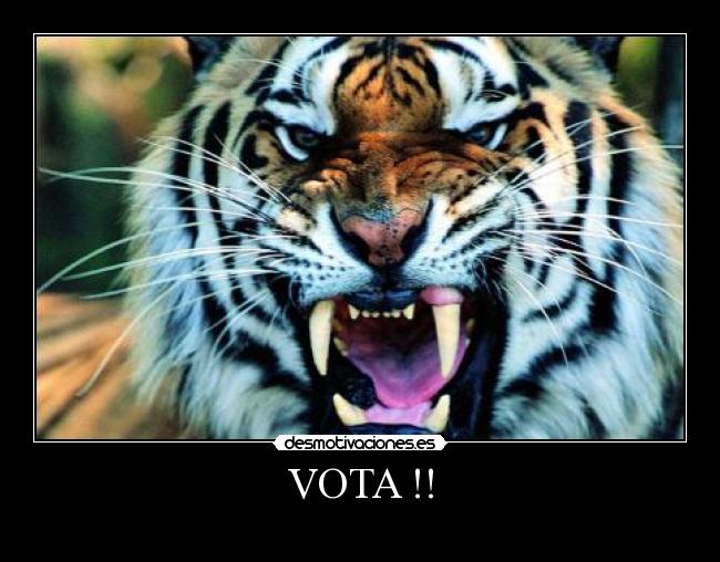 VOTA !! - 