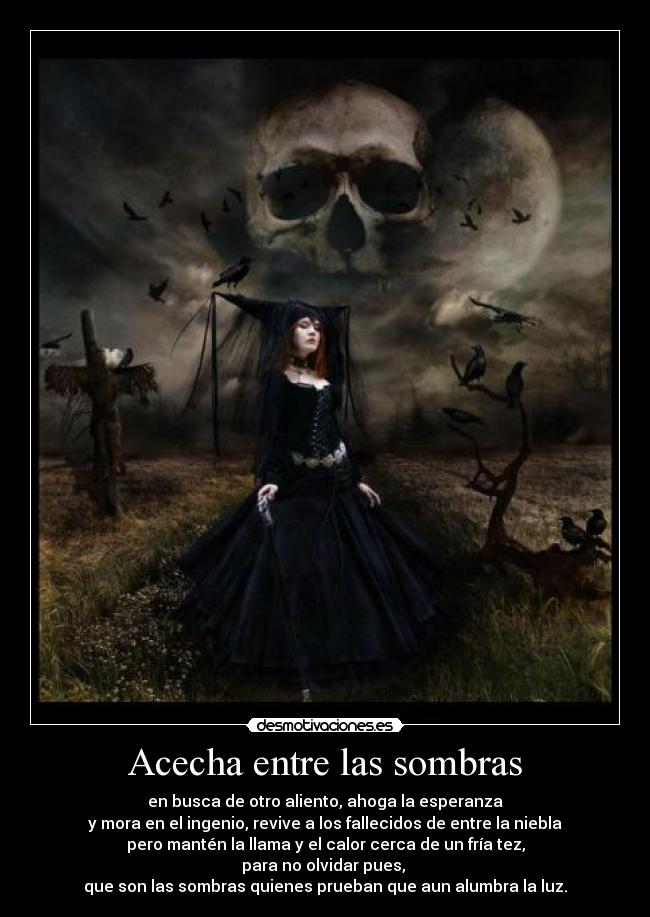 Acecha entre las sombras - 