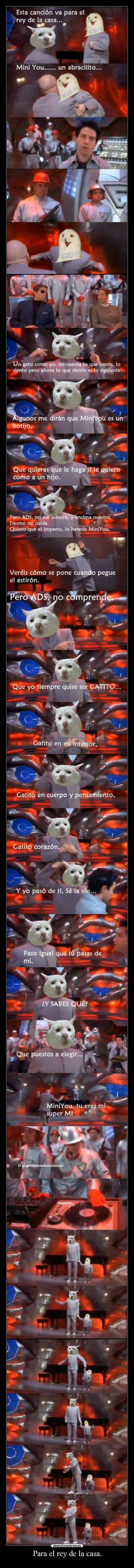 Para el rey de la casa. - 