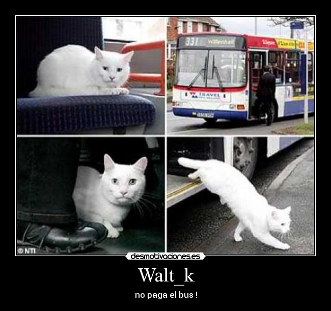 Walt_k - no paga el bus !