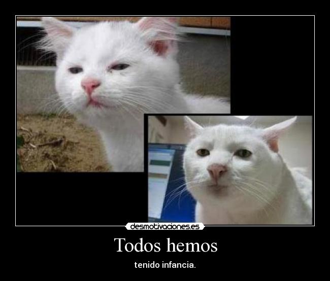 Todos hemos -