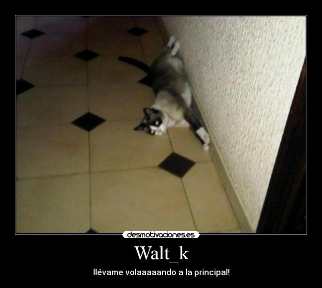 Walt_k -