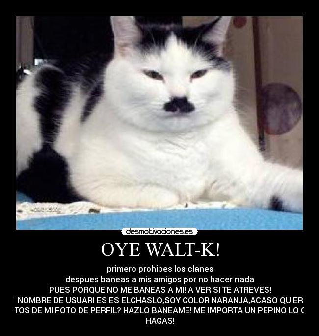 OYE WALT-K! - 