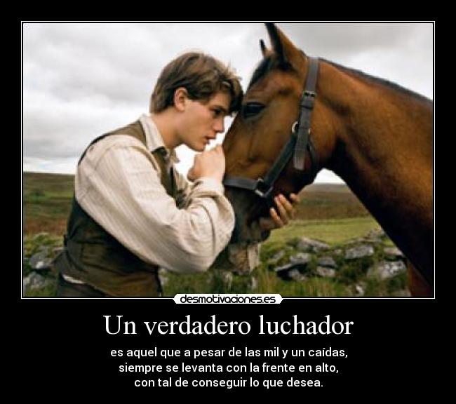 Un verdadero luchador - es aquel que a pesar de las mil y un caídas,
siempre se levanta con la frente en alto,
con tal de conseguir lo que desea.
